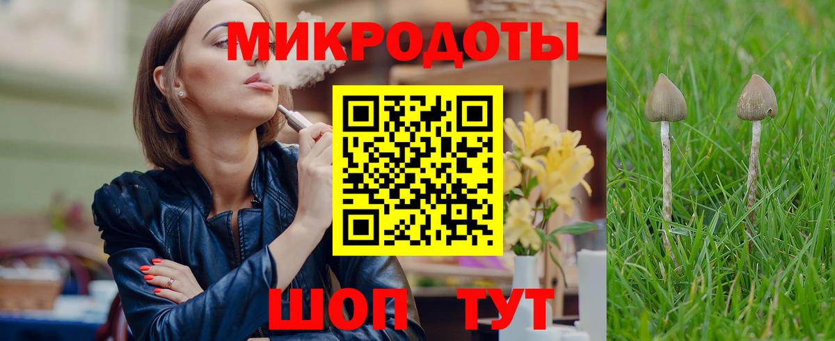 Псилоцибиновые грибы Psilocybine cubensis Аргун